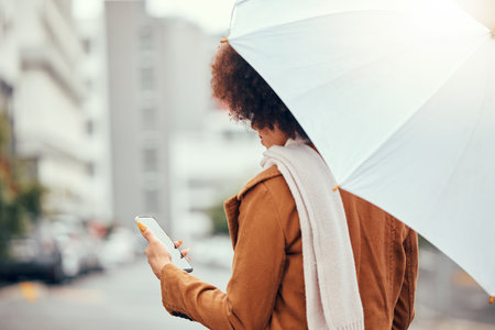 Umbrella, phone and woman in a street during rain, winter and morning in the city while texting, waiting and checking message. Commute, business woman waiting for taxi in rainy weather in New Yorkの写真素材