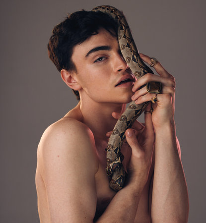Model skin snake, face of man and grey studio background with health beauty, skincare and makeup. Cosmetics serpent guy, edgy creative and facial wellness cosmetic in artistic portrait with pythonの写真素材