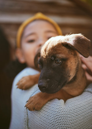 Dog, playing and child at a shelter for adoption, love and care with a pet in nature. German shepherd, happy and girl holding a young puppy at a park to play, fun and relax with bokeh backgroundの写真素材