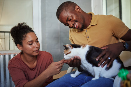 Happy black couple, love and cat in home, playing or bonding. Support, care or interracial couple, man and woman with pet, kitty or kitten loving, caring or enjoying quality time with animal in houseの写真素材