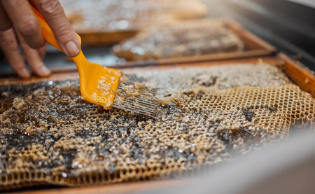 Honey, frame and closeup of scrape tools for bee farming, agriculture or food in beekeeping production. Beekeeper, honeycomb and apiculture worker with uncapping fork, natural product or work at farmの写真素材