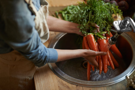 Washing them off before its time to cook. a woman washing carrots in a sink.の写真素材