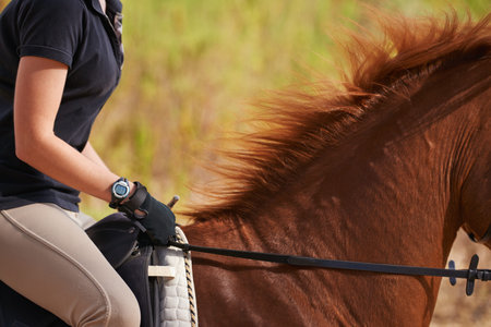 Ride like the wind. A cropped image of a woman rider on a chestnut horse.