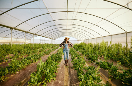 Farmer, greenhouse and happy agriculture woman in eco friendly business for environmental health. Carbon capture career and food sustainability industry for green lifestyle, growth and innovation.の写真素材