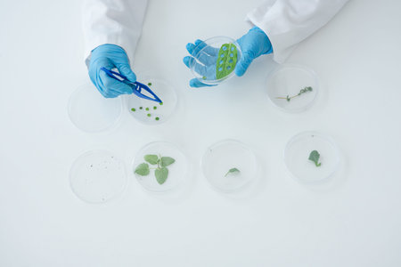 Putting her phytology skills to work. High angle shot of an unrecognizable female scientist working...