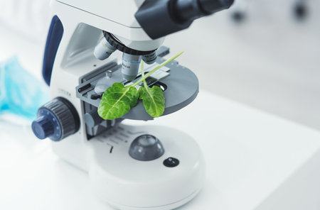 Seeing beyond the green. Still life shot of leaf samples placed on a microscope in a laboratory.の写真素材