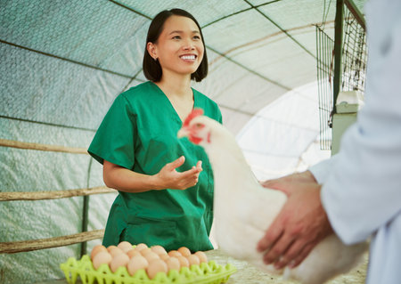 Woman, chicken eggs or farming customer on countryside agriculture, sustainability environment or...