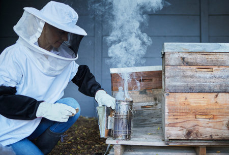 Bees, woman and smoke for honey, agriculture production and eco sustainability process in...