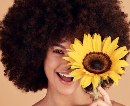 Sunflower, skincare and black woman with afro, floral beauty and happy with spring against a brown studio background. Cosmetics, wellness and face portrait of a model with a natural flower for bodyの写真素材