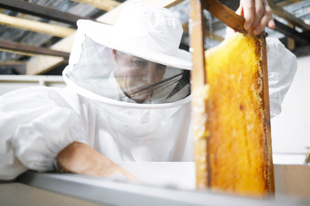 Honeycomb, honey production and woman, farmer with suit for safety, manufacturing process with...