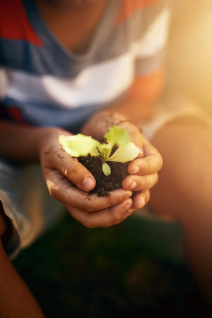 Raising eco-friendly kids. Closeup shot of an unidentifiable little boy holding a plant growing in...
