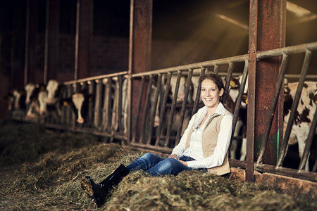 My herd is part of my family. Portrait of a happy female farmer sitting on a hay bale in a barn with a herd of cattle.の写真素材