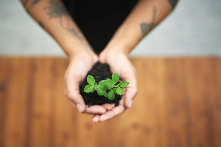 Business with a conscience. an unidentifiable businesswomans hands holding a small seedling.