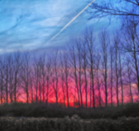 Landscape of living colour. A beautiful and natural shot of an outdoor setting.の写真素材