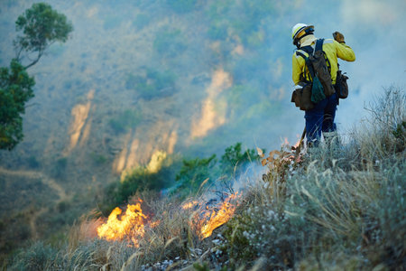 Surveying the damage. fire fighters combating a wild fire.の素材 [FY310196502165]