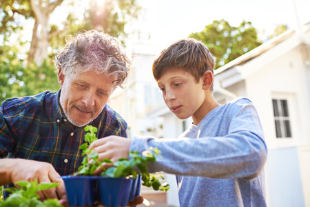 Hes inherited the family green thumb. a young boy gardening with his grandfather.の写真素材