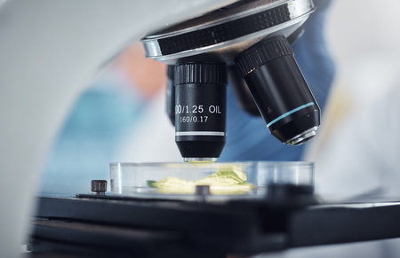 Science, research and plant sample on microscope for exam, lab test and study for agriculture....