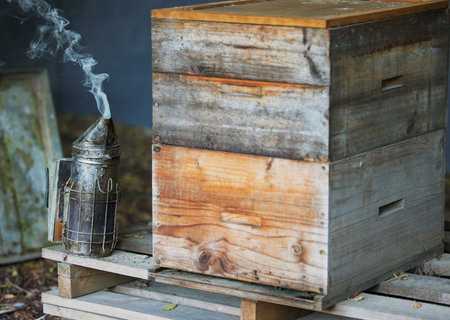 Wooden box, smoke or beekeeper equipment on sustainability agriculture, countryside environment nature honey farm. Smoking tool, honeycomb container or bees production management for food collectionの写真素材