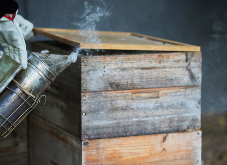 Beekeeping, smoke and wood box for bee farming with smoker tools for process to calm for maintenance and harvest of honey bees. Hand of beekeeper for manufacturing and production of honeycombの写真素材