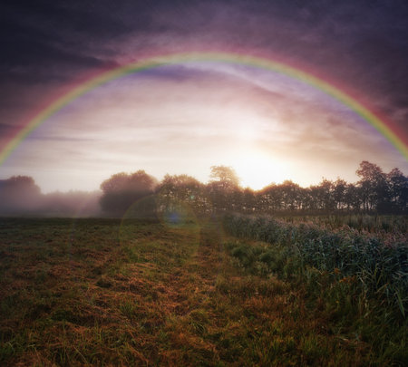 Misty sunrise over the farm. a beautiful rainbow over a forest.の写真素材