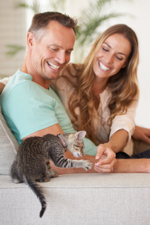 Hes our little angel. A mature couple playing with their kitten at home.の写真素材