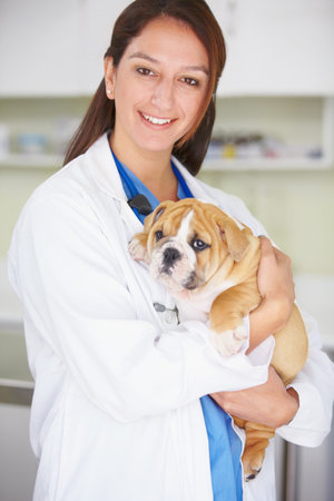 I love animals -choose the right profession for you. A young female vet holding a bulldog.