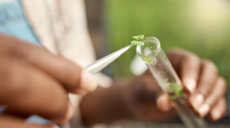 hand of botanist putting plant sample into test tube. Closeup of farmer collecting research sample. farmer putting sample into vial. Biologist using plant sample for chemistry.の写真素材