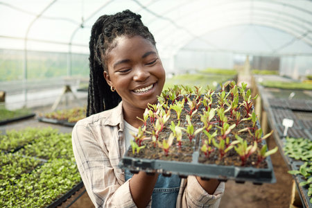 Young farmer carrying plants. Happy farmer checking her plants. African american farmer working in her greenhouse garden. Farmer working in her garden. Happy farmer holding a tray of plantsの写真素材