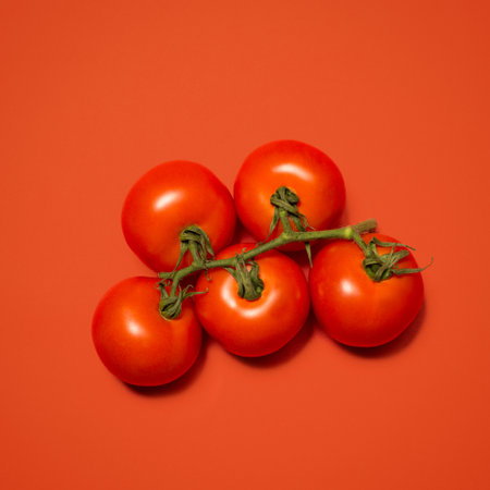 plucked from the vine. a vine of tomatoes against a studio background.の写真素材