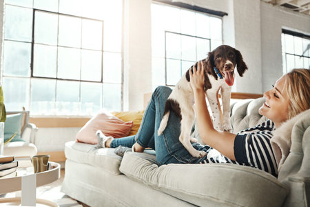 Woman, sofa and lift dog in home living room for love, relax and pet friendship for smile, happy and...