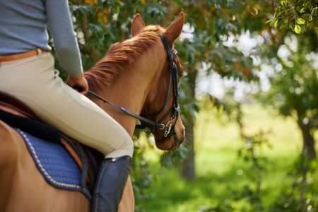 No one can teach riding so well as a horse. a unrecognizable female riding a horse in a forest.