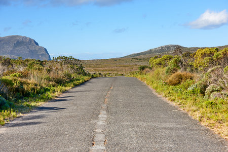 Cape Point National Park. The wilderness of Cape Point National Park.