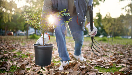 Agriculture, plant and agro person gardening in a park or field with a pitchfork and equipment. Eco friendly, environmental and gardener planting organic greenery in sustainable garden in countrysideの写真素材