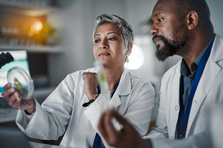 Science team, woman and plants in petri dish for black man, analysis or lab research for future food security. Mature scientist expert, group or focus on laboratory study for agriculture innovationの写真素材