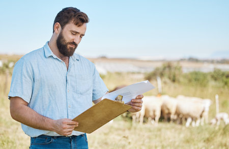 Farmer, thinking or clipboard paper on livestock agriculture, countryside environment or nature land for sheep growth management. Man, farming or worker and documents for animals healthcare insuranceの写真素材