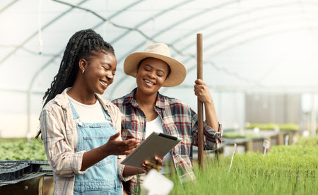 Coworkers using a digital tablet in a greenhouse. Happy colleagues collaborating and planning on a tech device. farmers using wireless tablet to work online. Farmers cultivating plants in a nurseryの写真素材