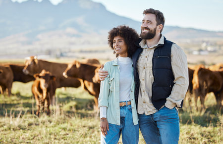 Happy, cow and relax with interracial couple on farm for agriculture, nature and growth. Teamwork,...