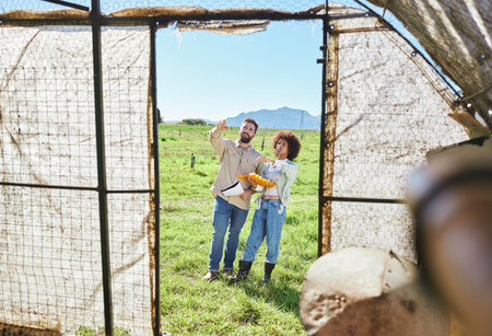 Couple farming, eggs and agriculture, chicken and inspection of greenhouse, quality assurance of...