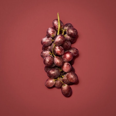 Yummy treats come on vines. a bunch of grapes against a studio background.の写真素材