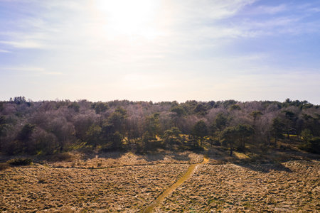 East coast of Jutland, Denmark. The east coast of Jutland facing Kattegat.の写真素材