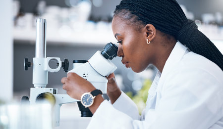 Black woman, medical science and microscope in laboratory for research, analytics and medicine. Woman, doctor and scientist study at work for an investigation, healthcare and futuristic or innovationの写真素材