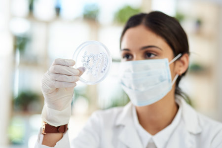 What do we have here. a young scientist analysing samples in a petri dish in a lab.の写真素材