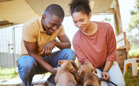 Love, black couple and playing with dogs at animal shelter or kennel. Care, support and happy...