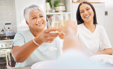 Champagne, old woman and toast pov of person with grandmother and daughter in home kitchen. Cheers, celebration and smile with alcohol glass, beverage or wine drink cheer at party or family gatheringの写真素材