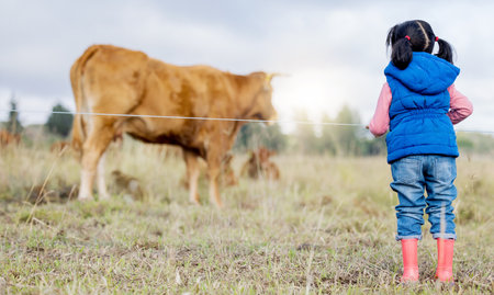 Agriculture, cow and a girl from the back looking at cattle on an agricultural field for sustainability or dairy farming. Children, farm and livestock with a little kid outdoor alone on a beef ranchの写真素材