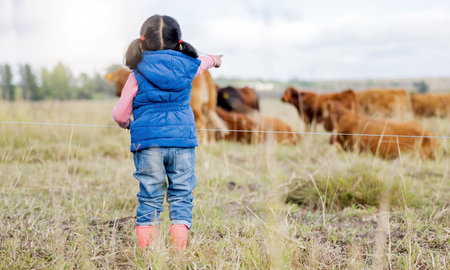 Farm, cow and a girl from the back looking at cattle on an agricultural field for sustainability or dairy farming. Children, agriculture and livestock with a little kid outdoor alone on a beef ranchの写真素材