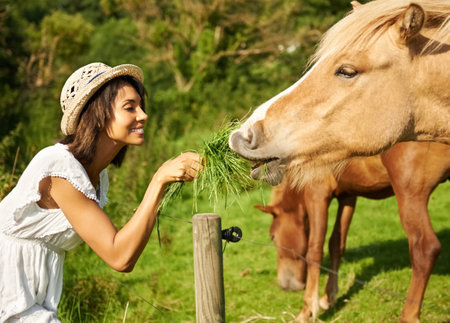 Keep calm and love horses. a beautiful woman spending time in the countryside.の写真素材