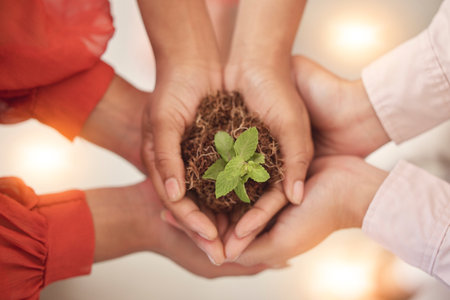 Teamwork, earth day or hands with plant for sustainability, agriculture environment or natural growth top view. Goals, group accountability or zoom of soil dirt for future green leaves developmentの写真素材