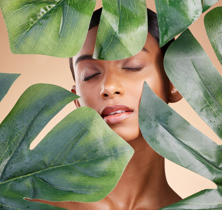 Woman, face and leaf in natural skincare cosmetics, self love or cosmetology against studio background. Calm female beauty holding leafy green organic plant for sustainable eco facial treatmentの写真素材