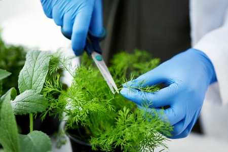 The importance of plants cannot be underestimated. a scientist getting samples from a plant for her experiment.の写真素材